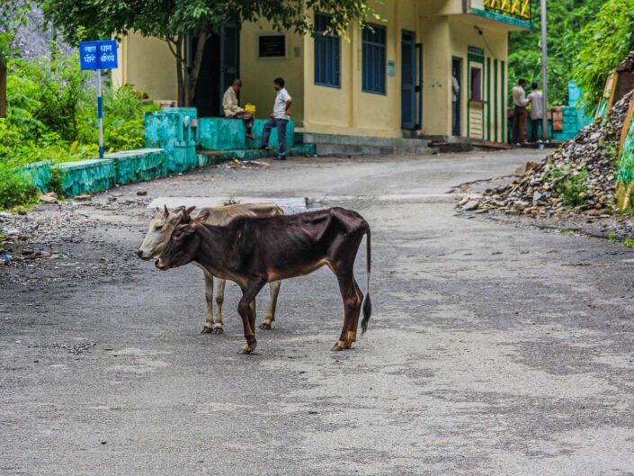 Uttarakhand, Indien