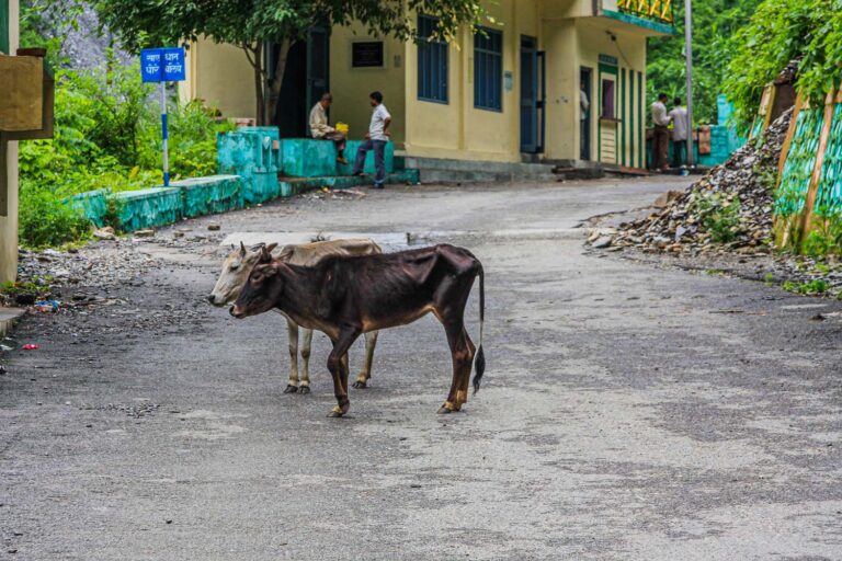 Uttarakhand, Indien