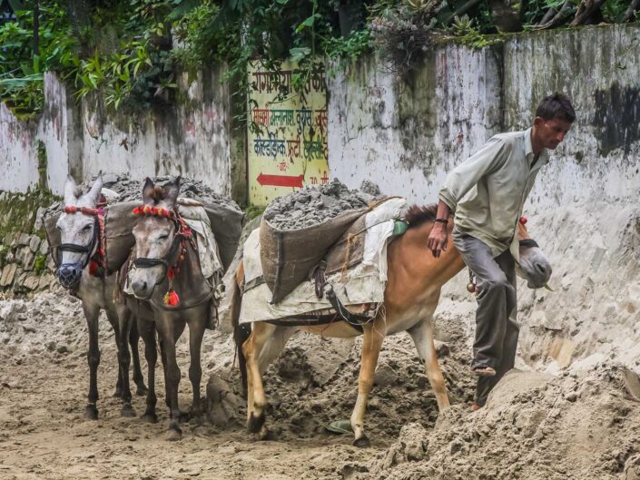 Uttarakhand, Indien