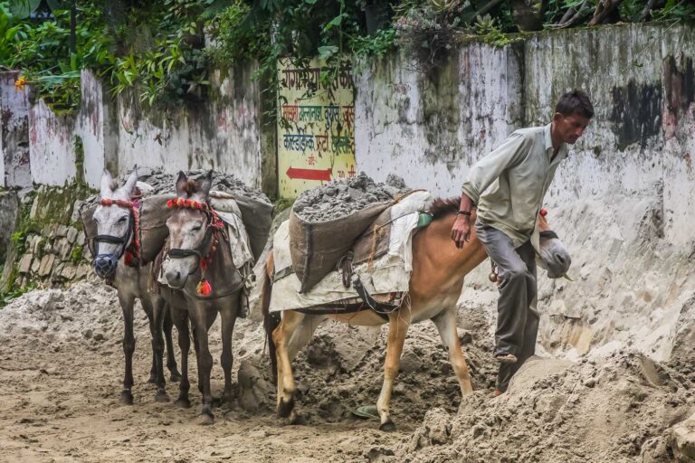Uttarakhand, Indien
