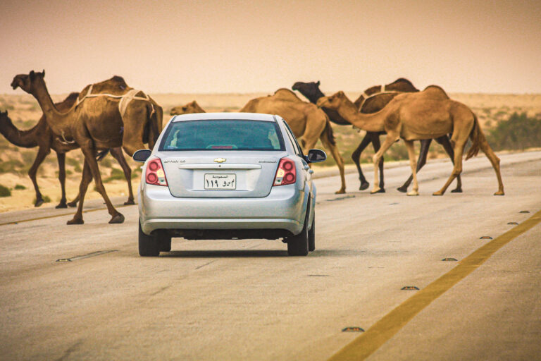 Saudi Arabia, Easter Province
