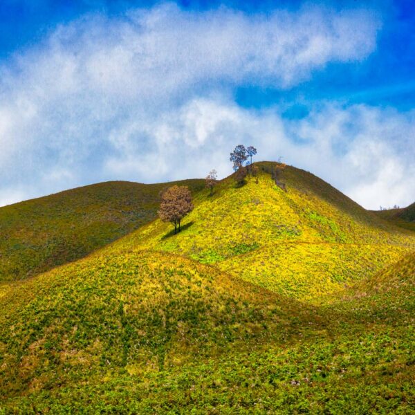 East Java, Indonesia