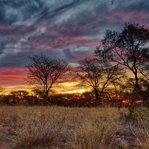 Northern Cape, South Africa