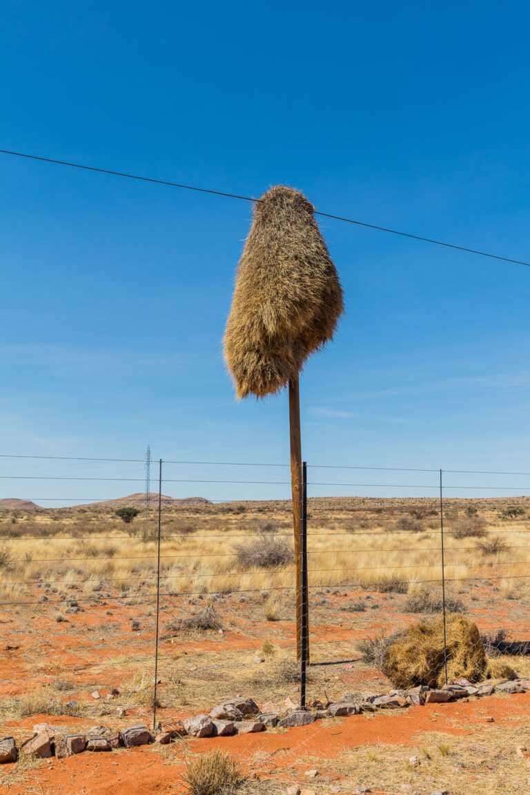 Northern Cape, South Africa