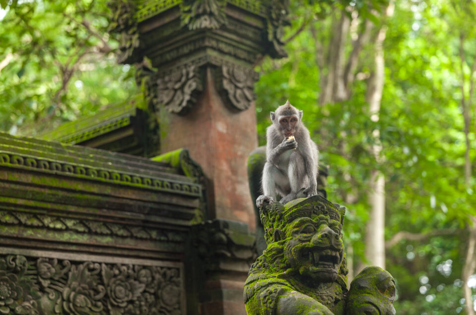 Ubud the cultural and spiritual centre of Bali