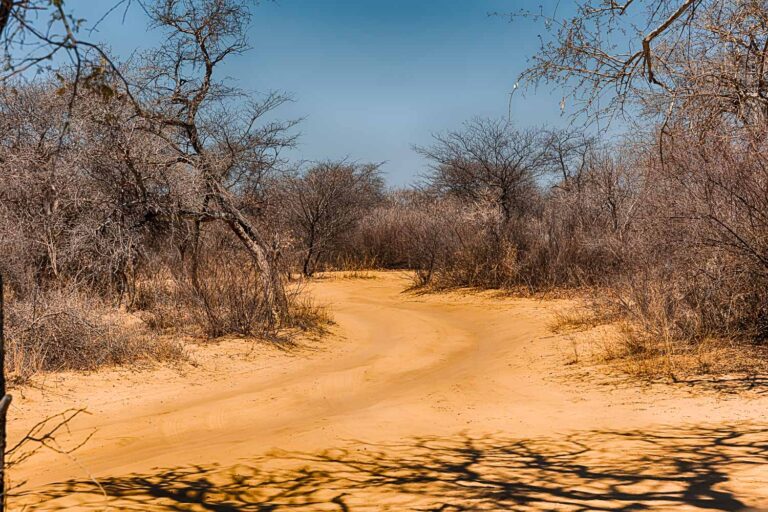 Central District, Botswana