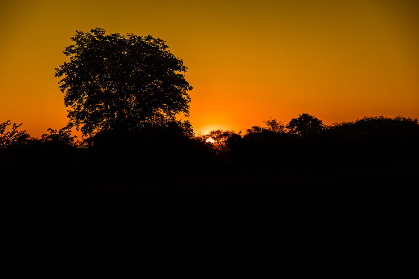 A sundowner in central Botswana