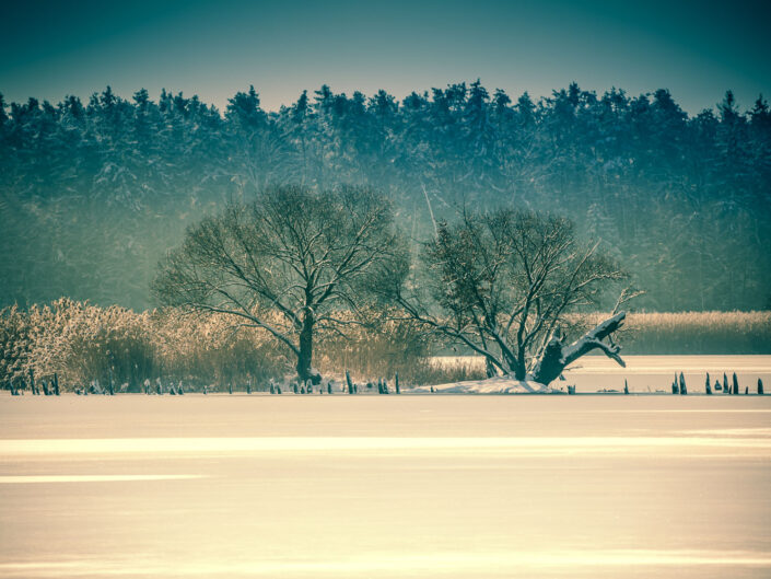 Saxony, Germany