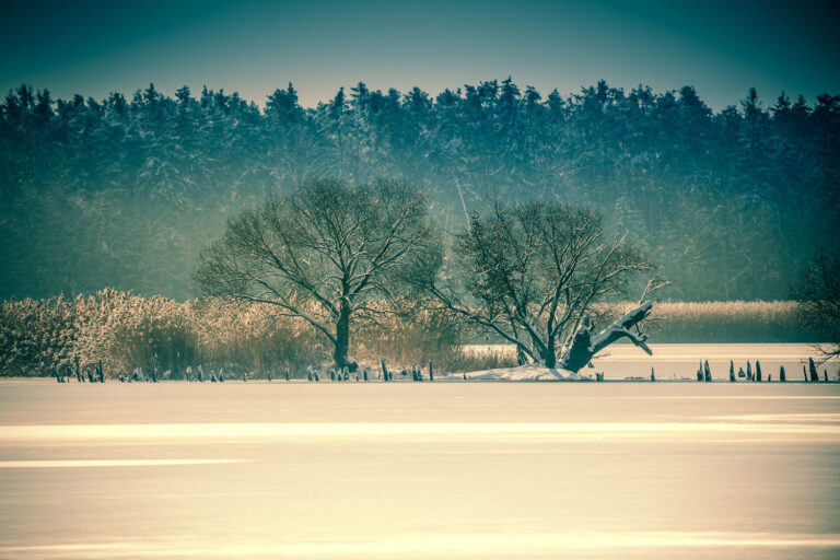 Saxony, Germany